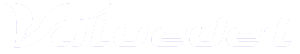 valuejet logo w