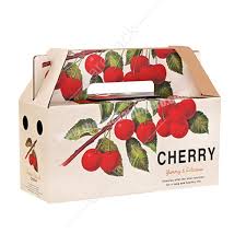 In proof trên Carton