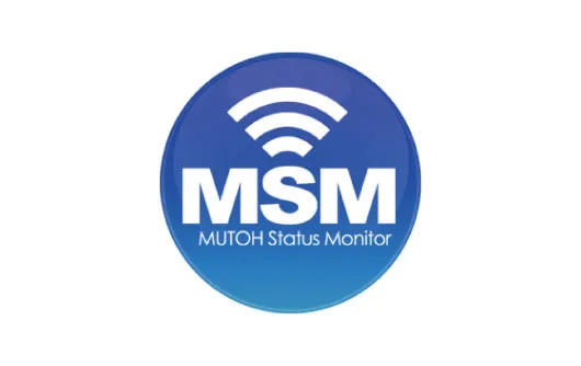 MSM