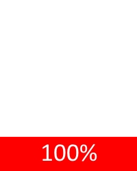 100pct